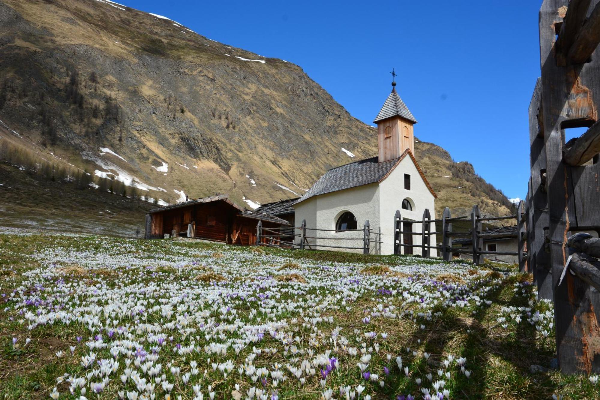 B&B Hotel Alpenrose Rooms & Apartments Valles Esterno foto
