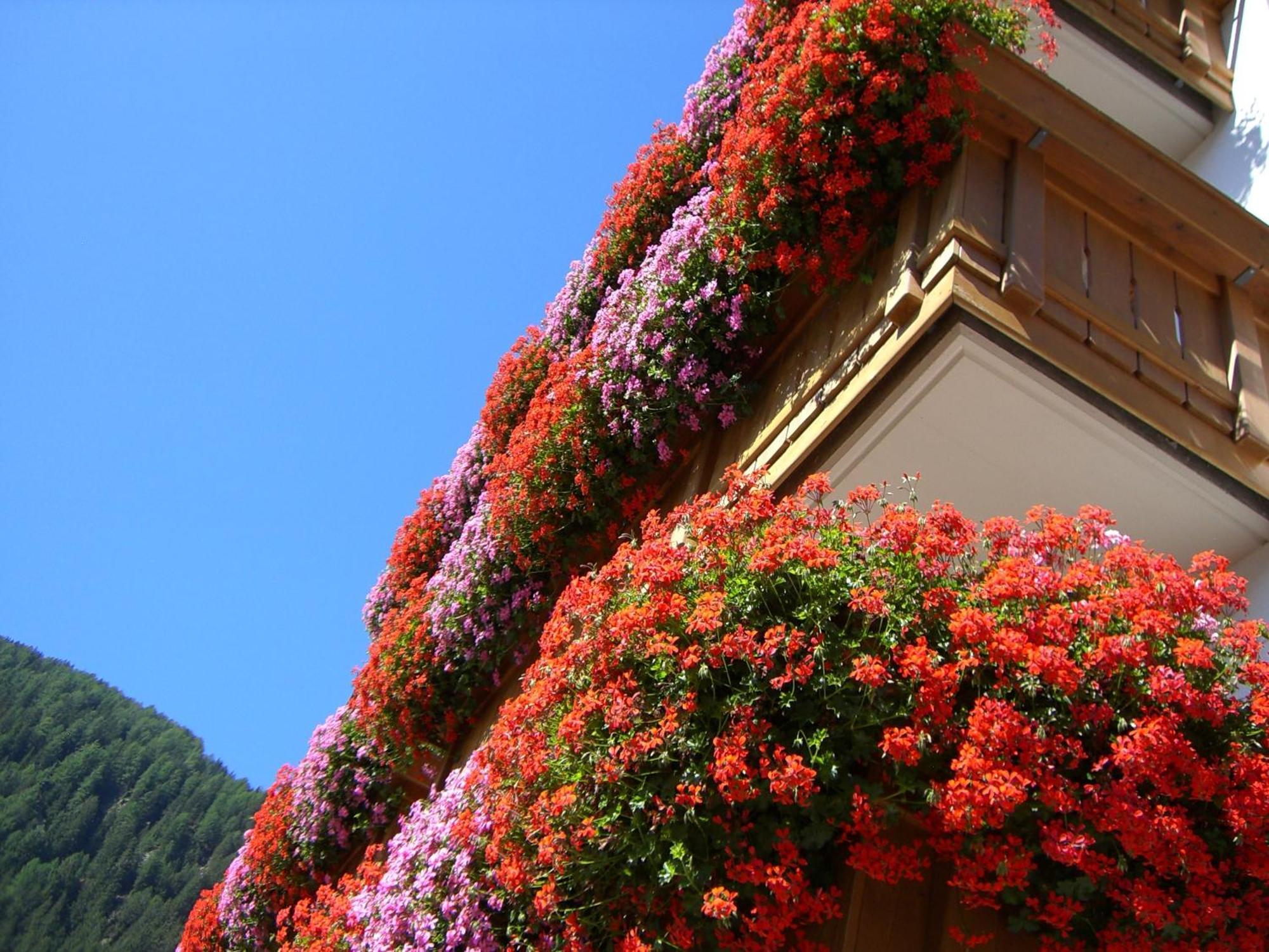 B&B Hotel Alpenrose Rooms & Apartments Valles Esterno foto